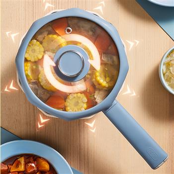 YOULG陽(yáng)朗電煮鍋學(xué)生鍋多功能家用八角鍋電炒鍋一體式不沾電火鍋