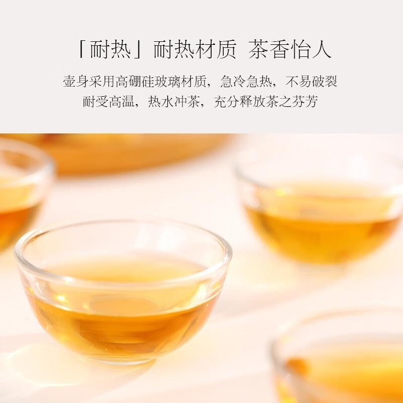 so.home樂怡茶具套裝單手易握沖茶壺日式款耐熱玻璃側把壺