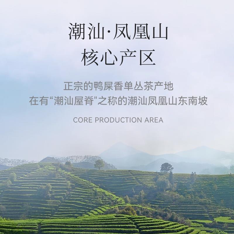 ONCHA開始喝茶 23年新茶金獎(jiǎng)鴨屎香烏龍茶鳳凰單從蜜蘭香